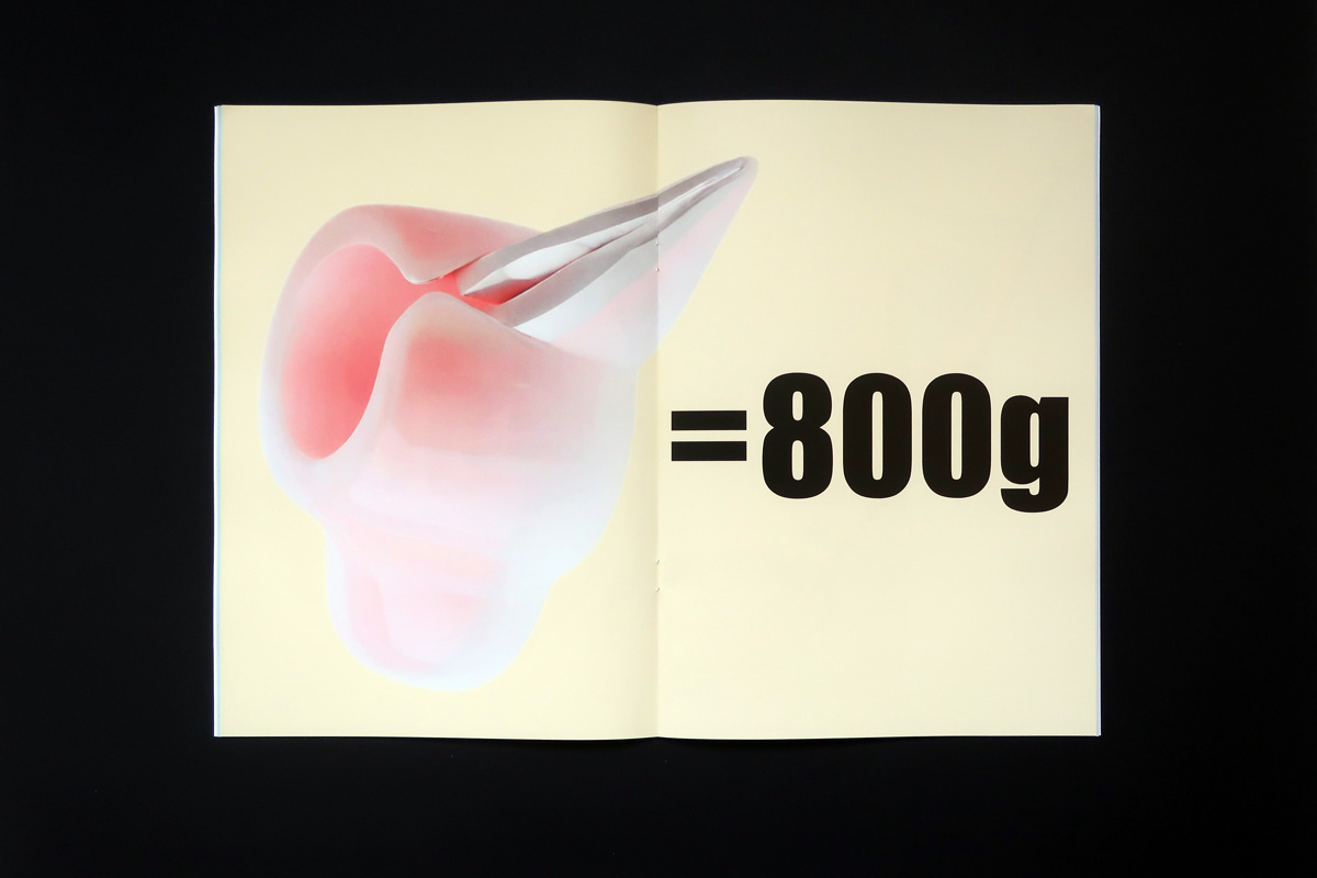 Elsa Werth, Giving weight to some AI-generated objects_8